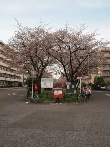 充実の３日間の翌日は静かに過ごしました