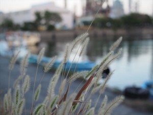 ランニング週記 2014/10/16 ～ 当週もランニングはお休み。来月再開目指してます！