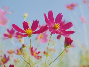 ランニング週記 2014/9/18 ～ 思い切って一週間お休みしてリフレッシュしました！