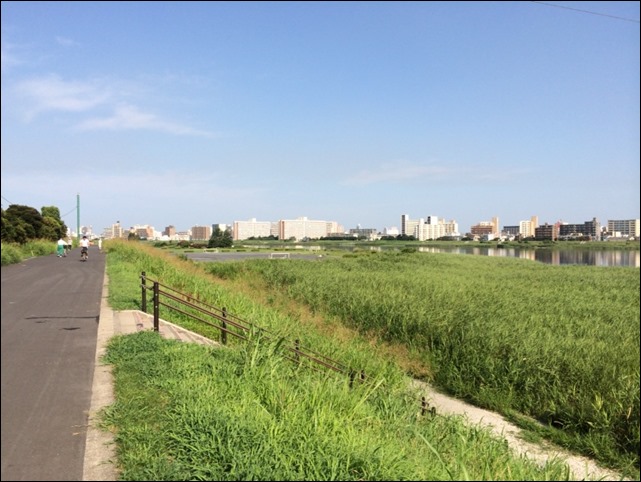 多摩川土手（川崎側から六郷方面）