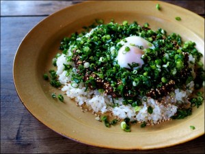 鎌倉 OXYMORON（オクシモロン） ここのカレーは絶品！チーズケーキもオススメ！