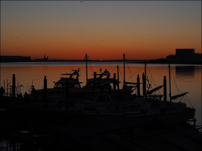 写真 2015-01-03 6 48 14