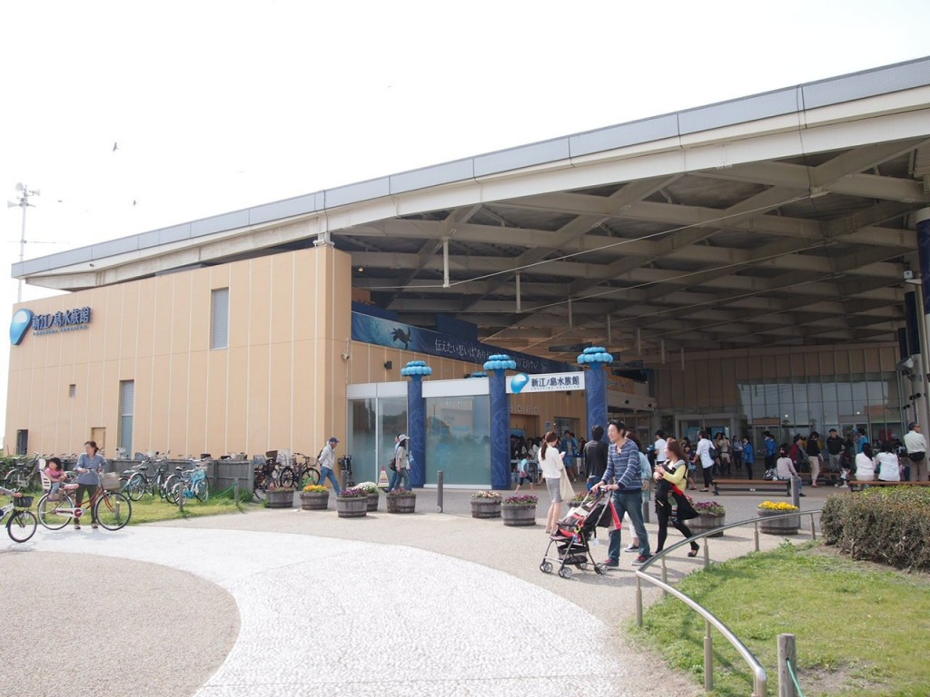 新江ノ島水族館 の年間パスがお得! 2回以上行けば元が取れます。