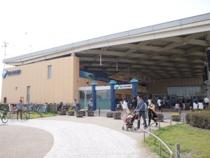 新江ノ島水族館 の年間パスがお得！ ２回以上行けば元が取れます。