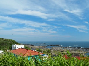 ブログサイト 立ち上げて１００記事目でちょっと振り返ってみる