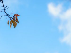 歳を取ったなと感じたこと