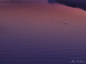 Facebookとブログのトップページのプロフィール、職業から会社名を外してフリーランスにしました