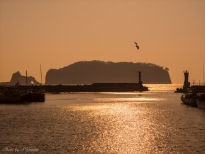 昨年秋から３ヶ月ほど続けていた『本日の一枚』を復活しようと考えています