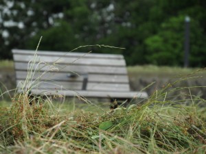 仕事が一段落着いたので、久々に朝からブログを書いてます。