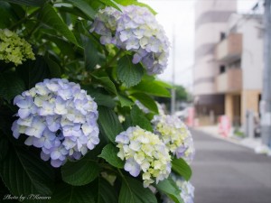 ここ最近疲れやすかったり体力の低下を感じていた原因は全身のコリだった