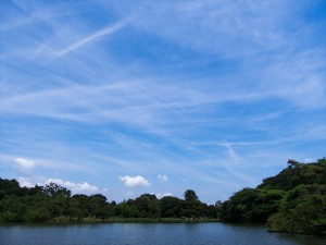 ４５年も動き続けていればあちこちガタが来るのは仕方がない！これからのケア次第で人生変わってくる