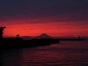 OM-D E-M1と行くぶらり散歩 小網代の森 ～ 城ヶ島 2014/10/10 その２