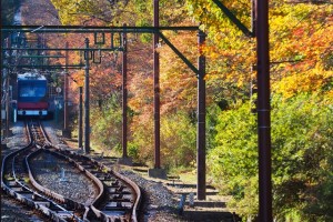 マイクロフォーサーズ機にキャノンＥＦレンズを装着して箱根の紅葉を撮る ～ その２ 実写・トラブル編