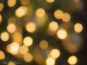 今年もあと一週間。来年&hellip;さらに５年、１０年先を見据えての準備をする一週間にしよう。