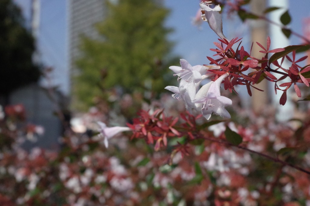 半年振りにプロフィールを更新しました。お仕事的なことも追記しています。