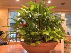 未だに目に見えるモノ以外に対価を払いたがらない人がいるが、それは店のモノを『タダで持っていくよ』と言ってるのと同じでしょ！