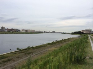 ランニング週記 2014/8/18 ～ 今週は習慣化崩壊！週一ランナーでした。