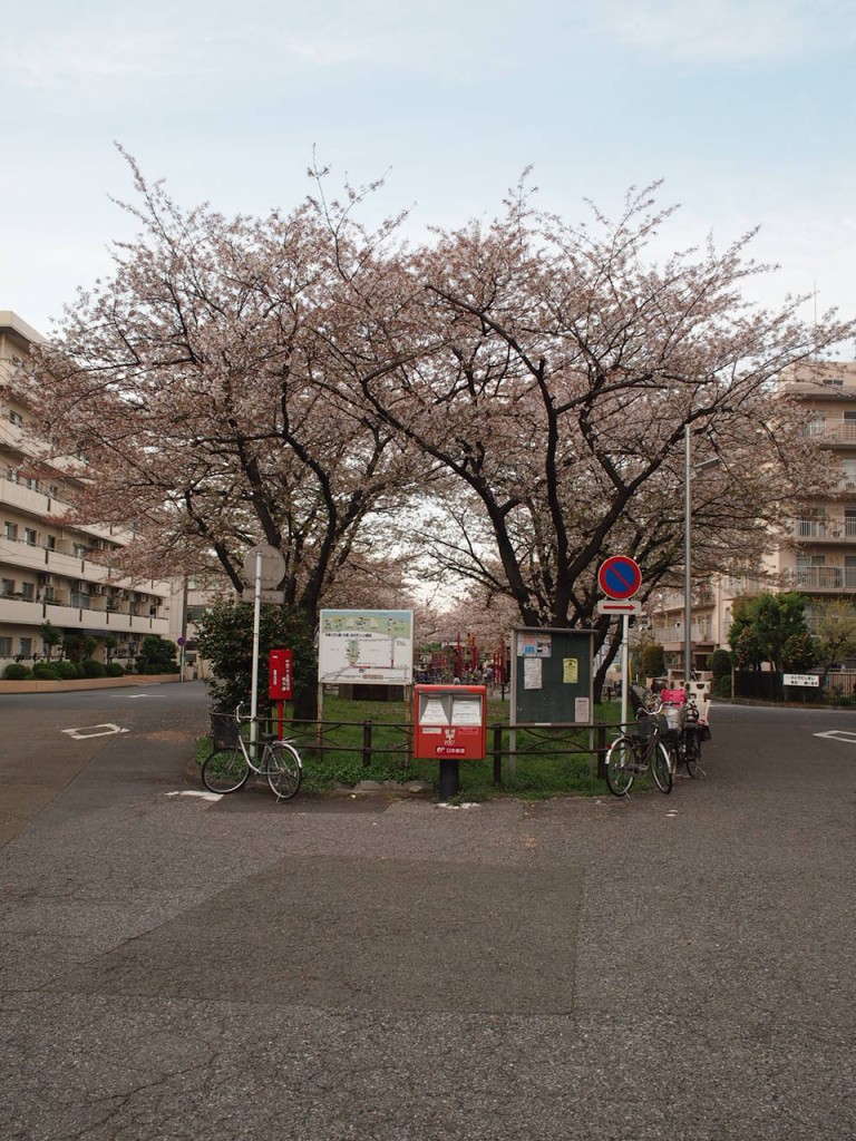 充実の3日間の翌日は静かに過ごしました