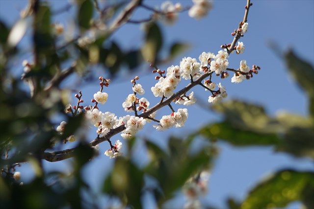 ここにきてちょっと息切れか?夕方まで寝たり起きたりの一日。
