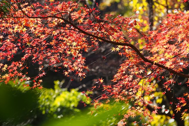 ブログが続かない人って、自分を恰好よく見せようとしたり完璧なモノを書こうと力が入り過ぎてるんじゃないですかね?