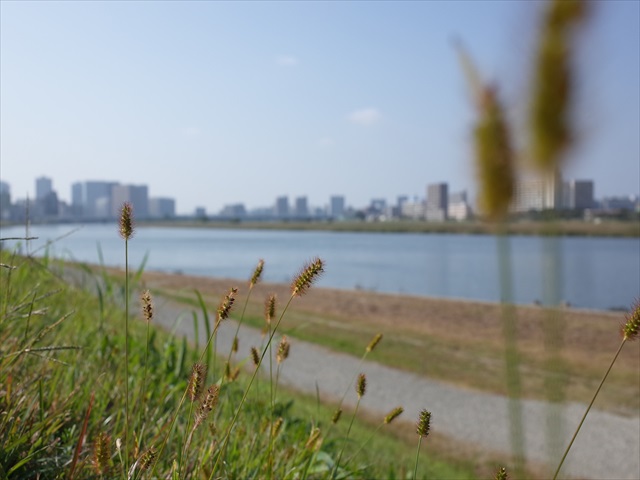 ここ最近、両眼に圧迫感や異常な疲労感があったので眼科にかかったら眼圧が正常値を超えていた