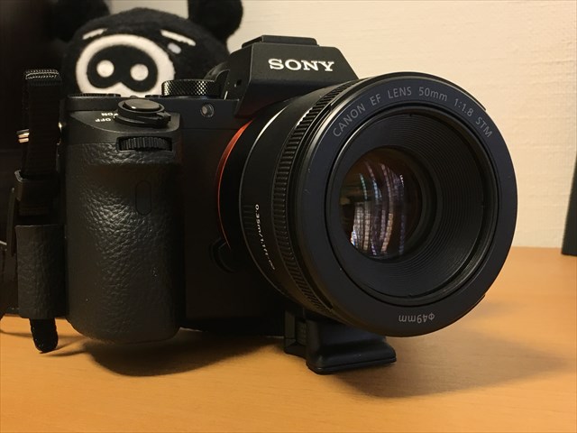 α7Ⅱにキヤノンの撒き餌レンズ EF50mm F1.8 STM を装着!