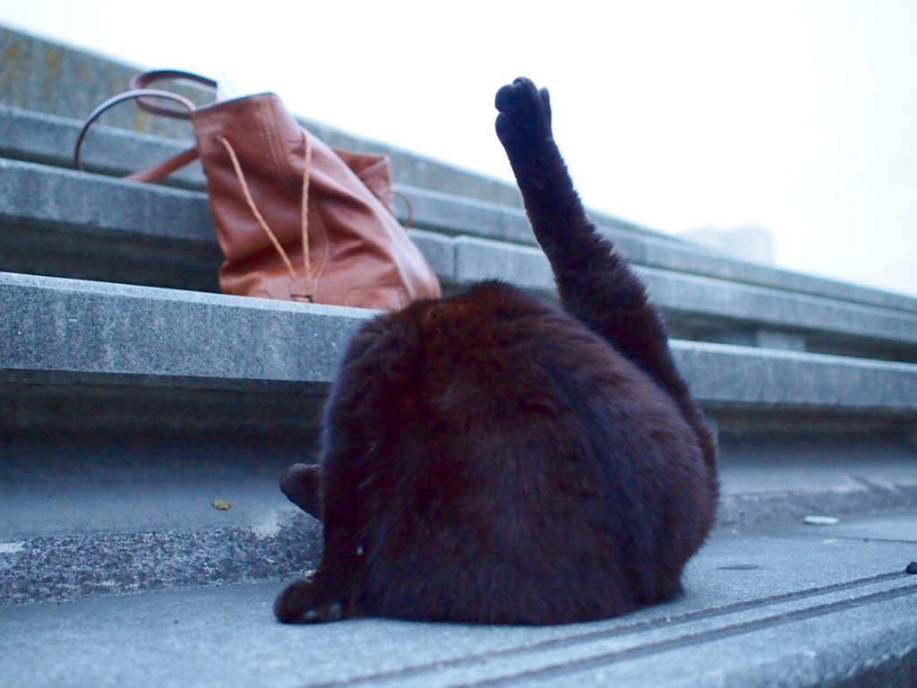 GW期間最終日を迎えて振り返ってみたこと